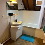 Le Mortier D'or Duplex Hyper Centre Apartment Troyes