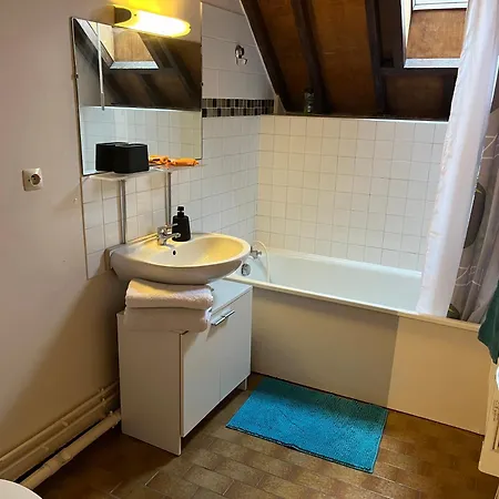 Le Mortier D'or Duplex Hyper Centre דירה טרואה