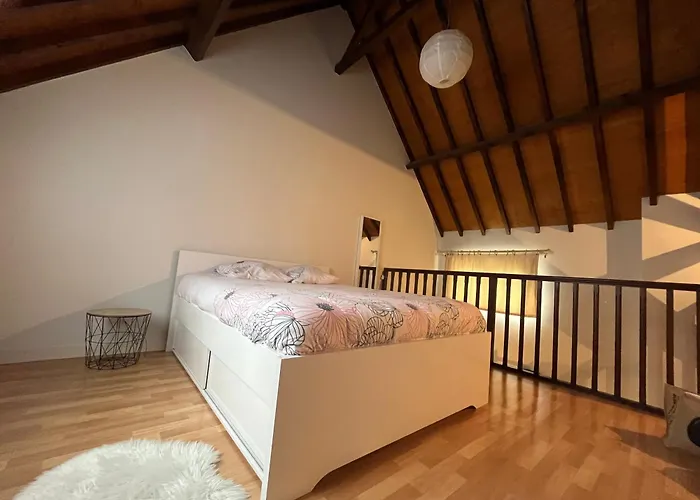 Le Mortier D'or Duplex Hyper Centre Apartment