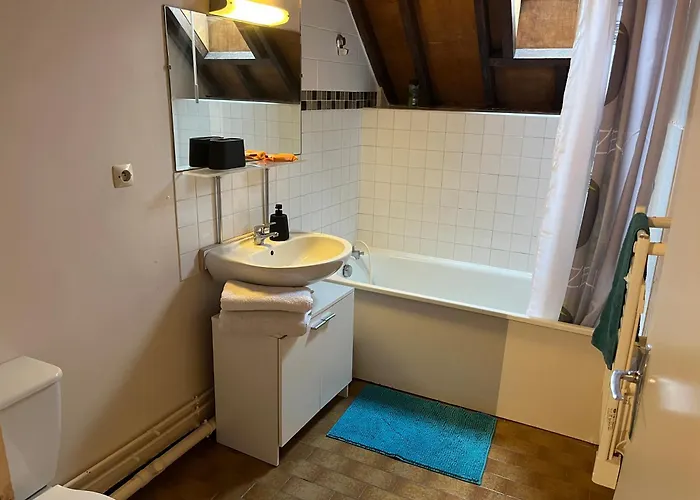 Le Mortier D'or Duplex Hyper Centre Apartment Troyes